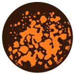 Naranja y Miel