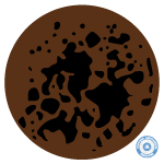 Leche dulce de leche